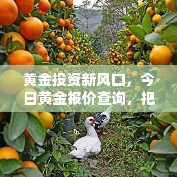 feiqiandongzhi 第10页