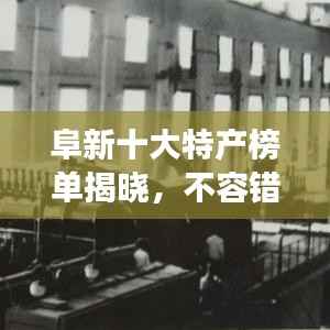 xingjirufei 第10页