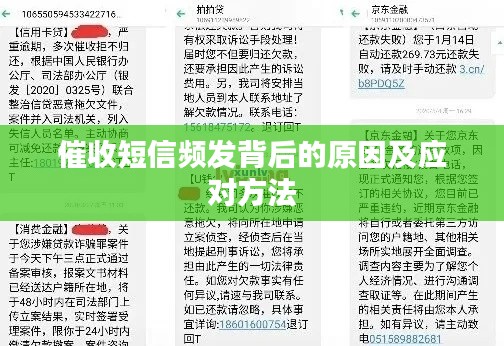 shanshishanzhong 第8页