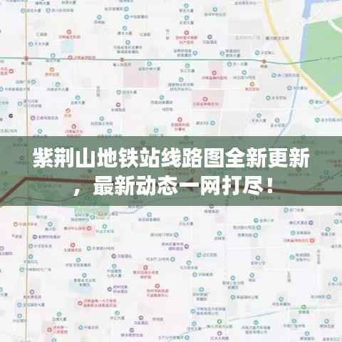 selineiren 第9页