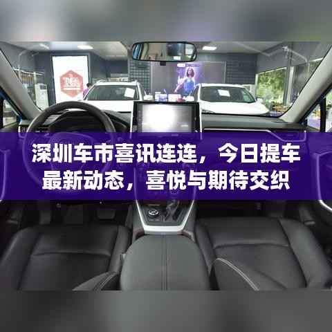 深圳车市喜讯连连，今日提车最新动态，喜悦与期待交织