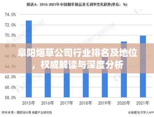 阜阳烟草公司行业排名及地位，权威解读与深度分析