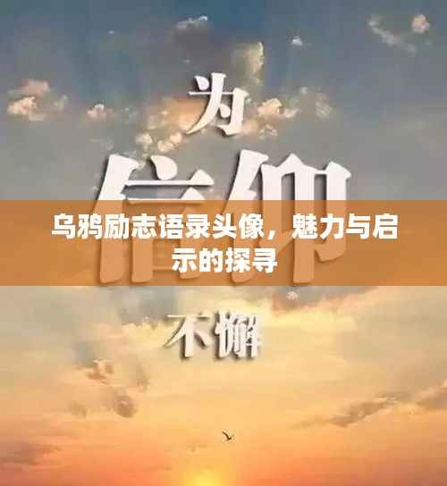 chenyuluoyan 第9页
