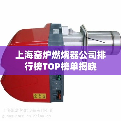 feijianruhuang 第8页