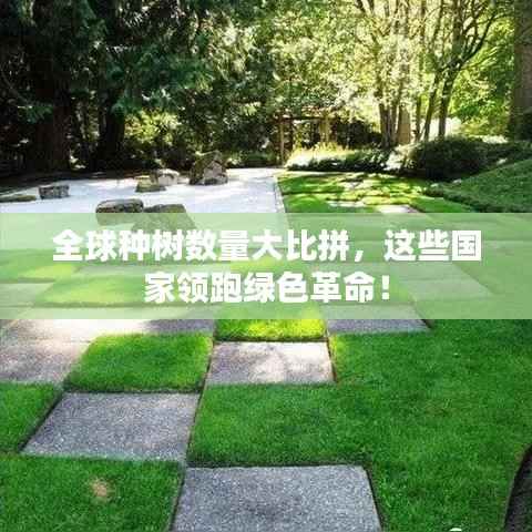 shanshishanzhong 第7页