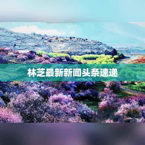 yongrongyabu 第8页