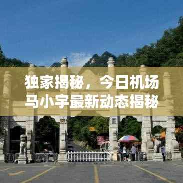 chenhouguayan 第8页