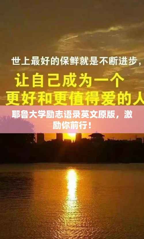 zhengjinweizuo 第8页