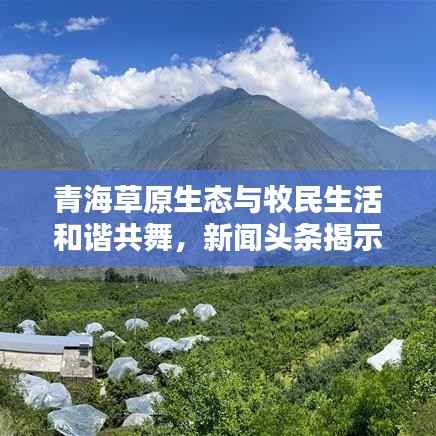 niaolibieguan 第8页