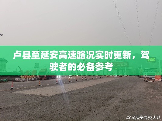 feijianruhuang 第7页