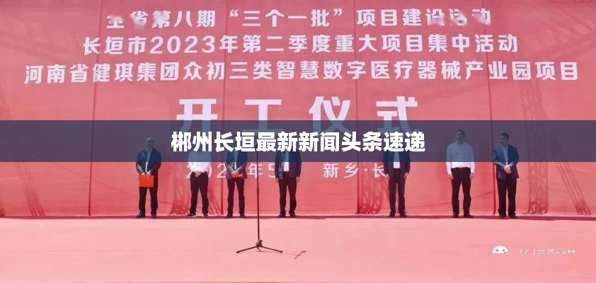 chenzhongguayan 第6页