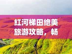 虎视眈眈 第8页