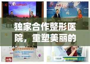 yishisanniao 第8页