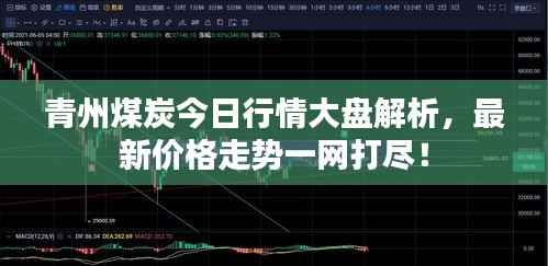 青州煤炭今日行情大盘解析，最新价格走势一网打尽！
