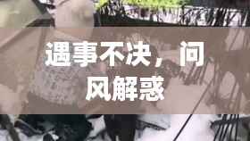yarenqingzhi 第7页