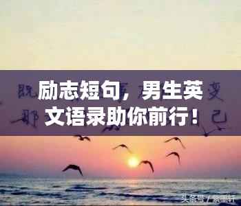 feiqiandongzhi 第7页
