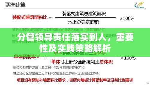 分管领导责任落实到人，重要性及实践策略解析
