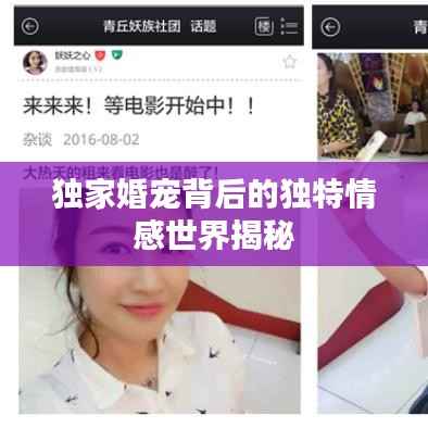 bainiaozhengming 第6页