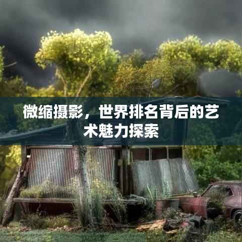 ermubise 第6页