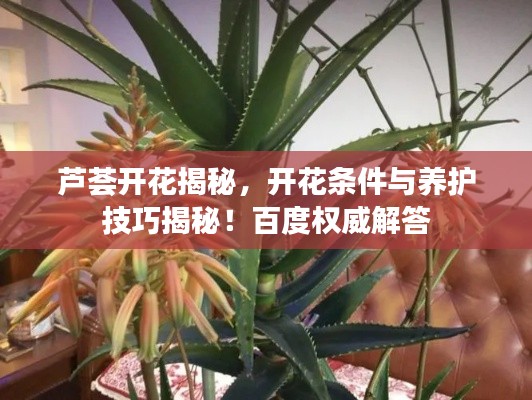 shengruhongzhong 第7页