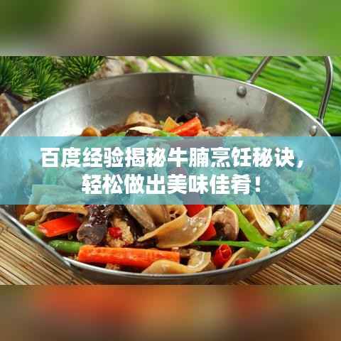 百度经验揭秘牛腩烹饪秘诀，轻松做出美味佳肴！