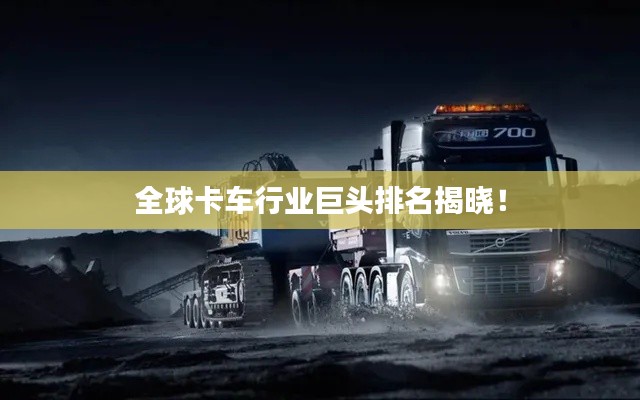selineiren 第6页