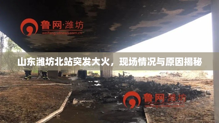 zhuanxinzhizhi 第7页
